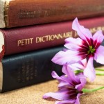 【よく使う慣用句・ことわざ一覧】かっこいい大人は使いこなしてる！