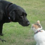 クセや仕草でわかる「心理」や「性格」・まとめ50こ